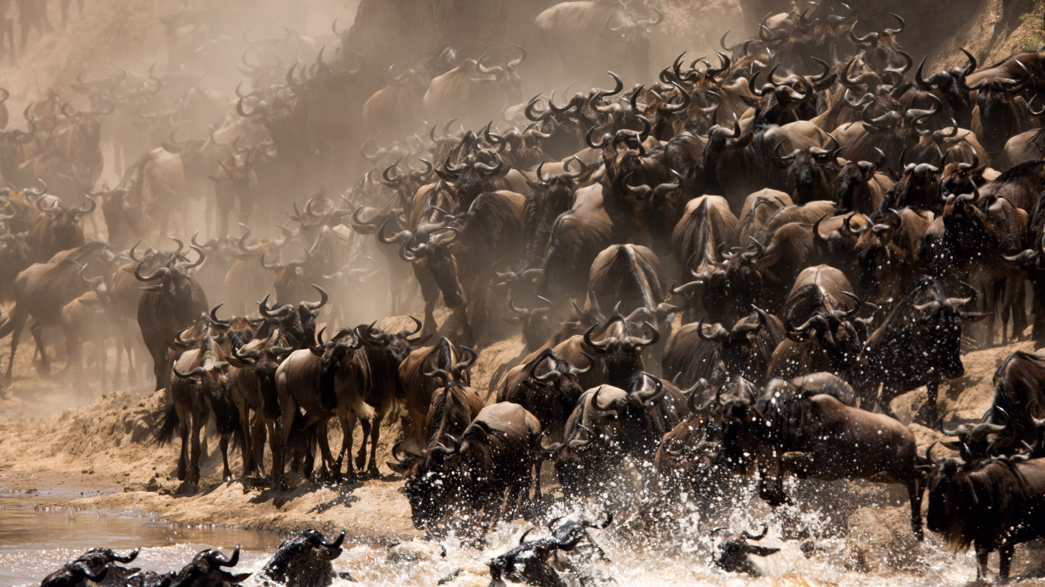 MAASAI MARA